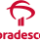 Bradesco Logo